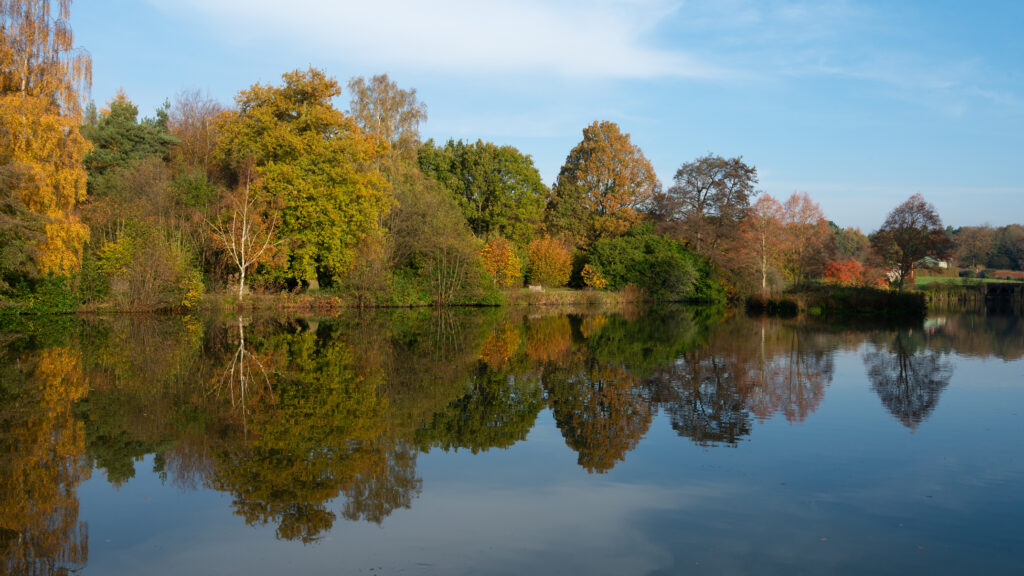 The lower lake at Markshall Estate