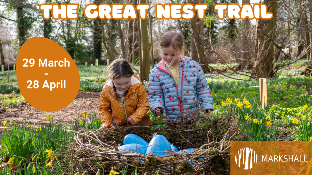 Image of children exploring a giant nest in an Essex woodland